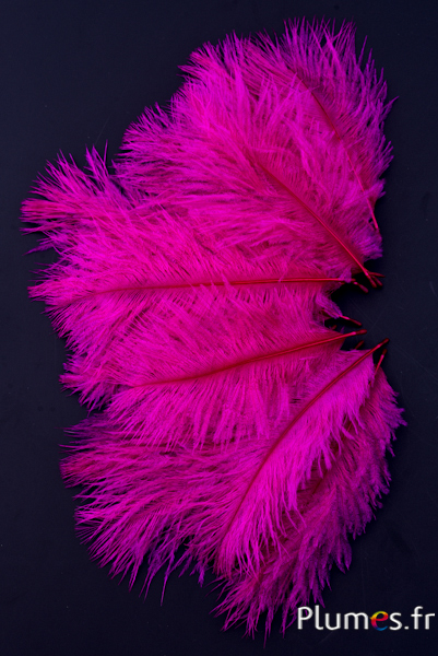 Autruche Bellies - 8-13 cm - fuchsia